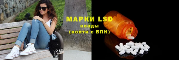стаф Володарск