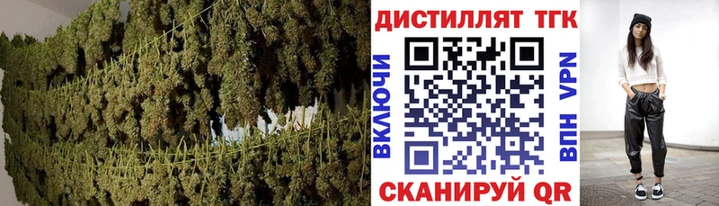 ТГК THC oil  купить   Ветлуга 